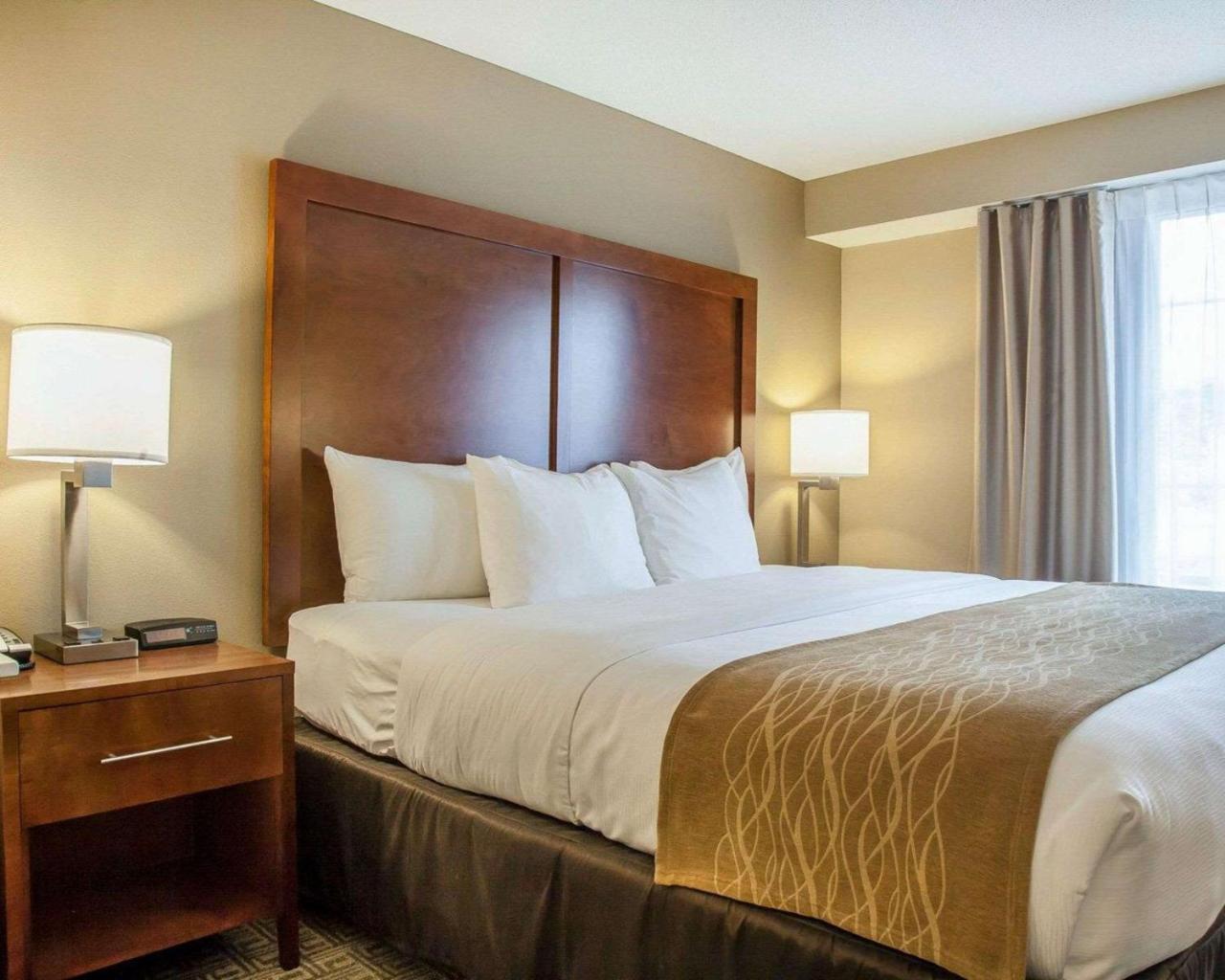 Comfort Inn & Suites Sturbridge-Brimfield Dış mekan fotoğraf